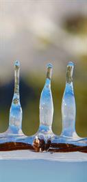 Famous Austin Artist Photography Awards